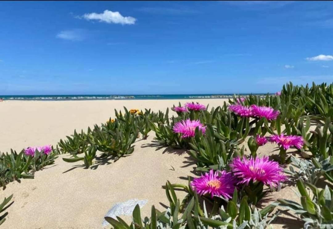 Marea Il Tuo Angolo Di Paradiso In Sicilia Ti Aspetta Prenota Ora E Vivi La Magia Del Mediterraneo ألكامو مارينا المظهر الخارجي الصورة